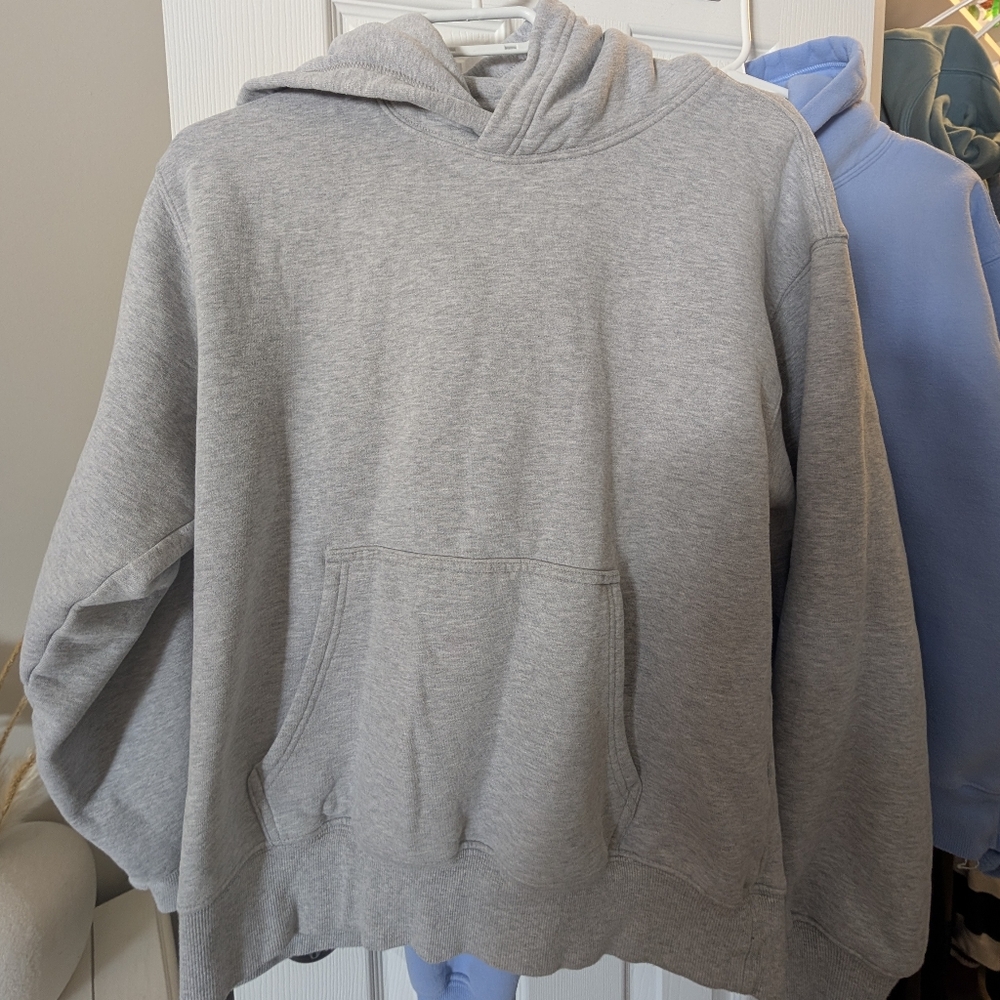 Aritzia Sweatfleece Hoodie